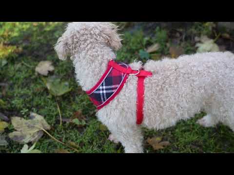 Dog Harness with Reflective Strip in Red Tartan S/M/L/XL