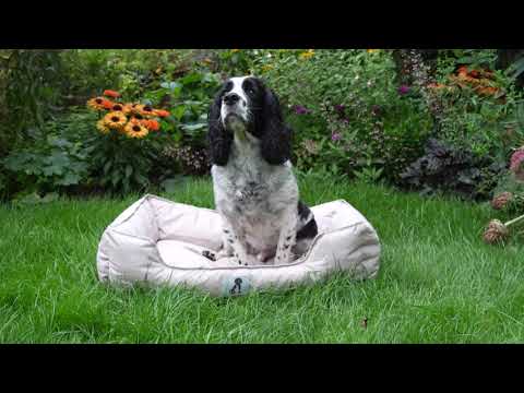 Dexter Waterproof Dog Bed Cream- Size S/M/L