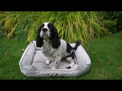 Dexter Waterproof Dog Bed Light Grey- Size S/M/L