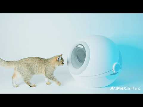 Modern Cat Litter Box White Grey AllPetSolutions