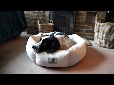 Luna Soft Dog Bed Cream - Size S/M/L