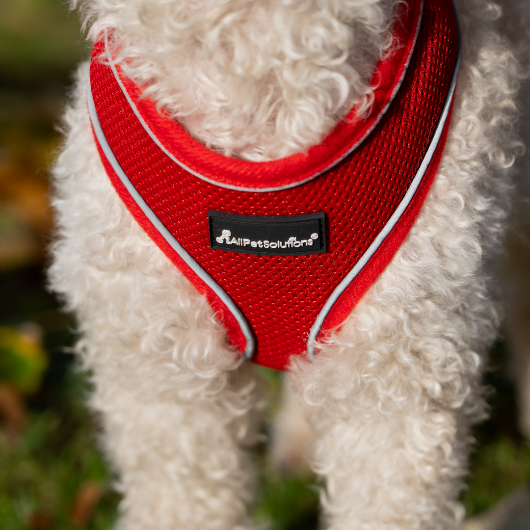 Dog Harness with Reflective Strip in Red S/M/L