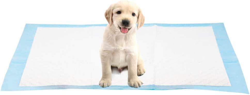 Retriever best sale puppy pads