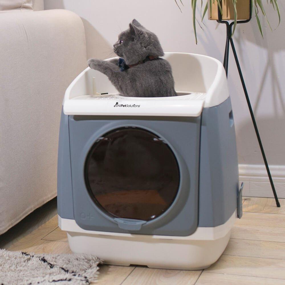 Dadypet cat clearance litter box