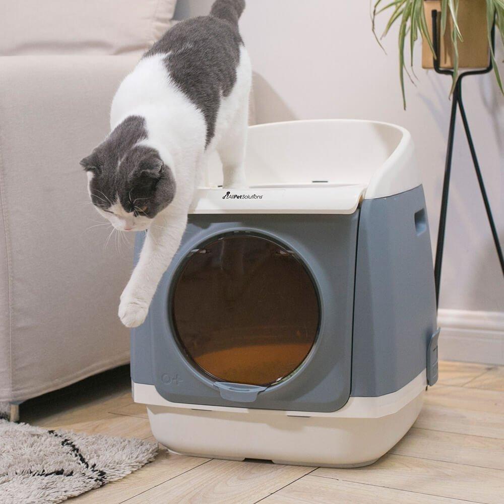 Dadypet cat clearance litter box