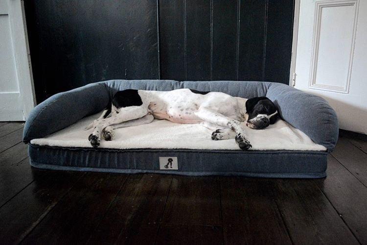 Great dane dog beds uk best sale