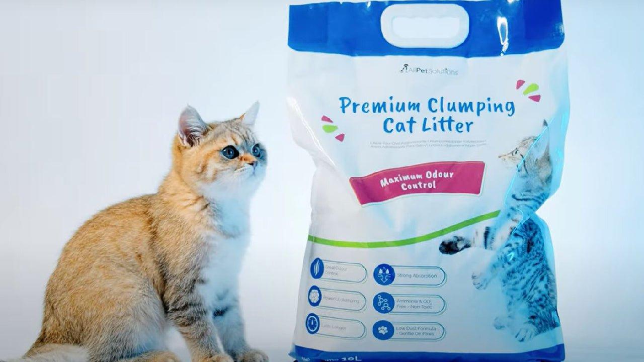 Odour control 2024 cat litter