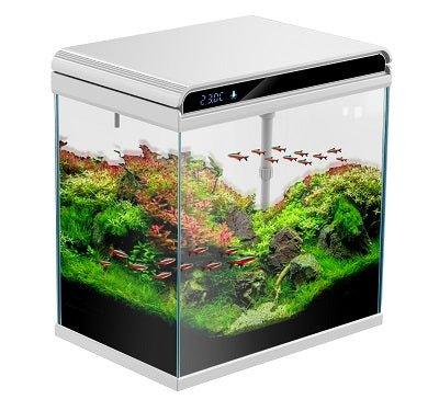 Fish tank hotsell price online